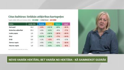 17.10.2026 Pašu produkts, pašu spēks 2. daļa