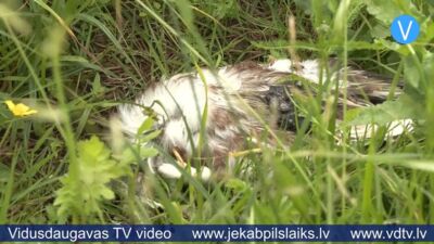 02.07.2025 Jēkabpils laiks