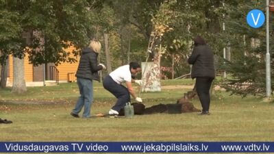 Zvejnieklīcī tapis jau desmitais Laimes koku parks Latvijā