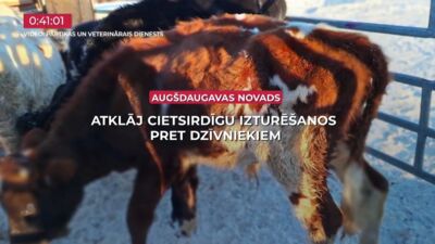 04.02.2026 TV24 SVARĪGAIS 3 MINŪTĒS 19.00