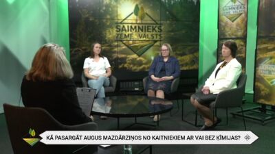 Kā pasargāt augus mazdārziņos no kaitēkļiem?