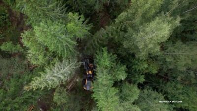 22.11.2025 Atspēriens izaugsmei