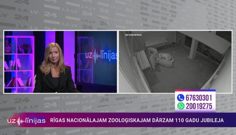 Elektroenerģijas cenu ietekme uz Rīgas zoodārza darbību