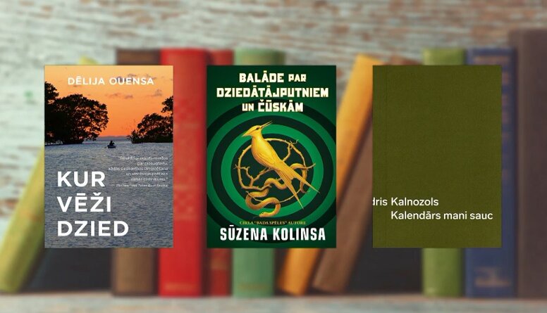 Grāmatas, ko iesaka Daina Ozoliņa