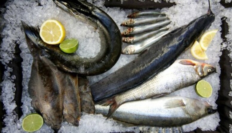 Cik droši ir ēst Baltijas jūras zivis?
