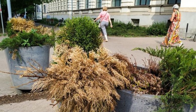 Putniņš: Smieklīgi, ka Rīga ar savu budžetu nevar atļauties apliet puķes
