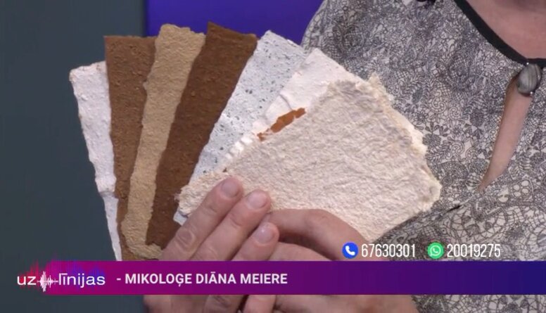 Mikoloģe Diāna Meiere rāda sēņu papīru un dziju