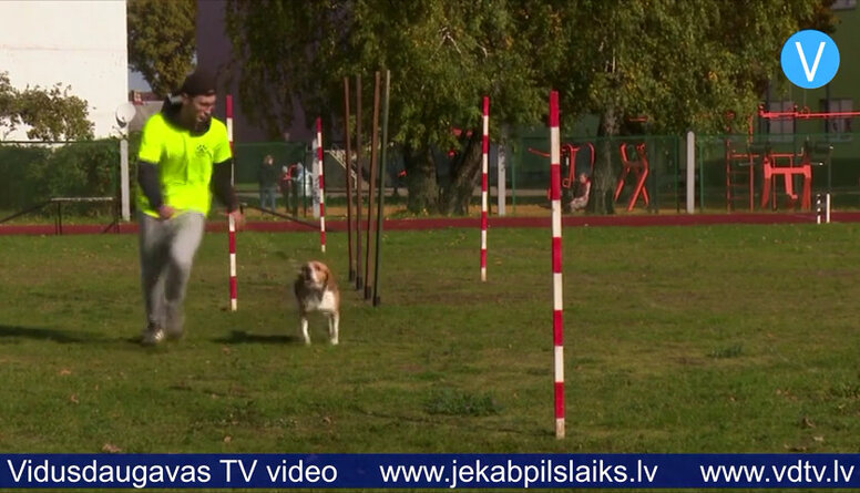 Līvānos norit suņu treniņnodarbība