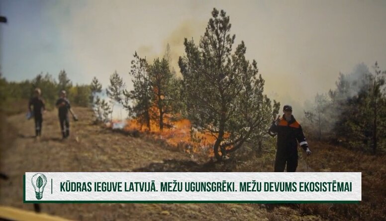Kādi ir galvenie mežu ugunsgrēku iemesli Latvijā?