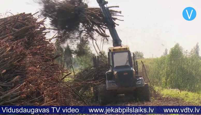 Jēkabpils novadā no krūmiem attīra veco dzelzceļa uzbērumu