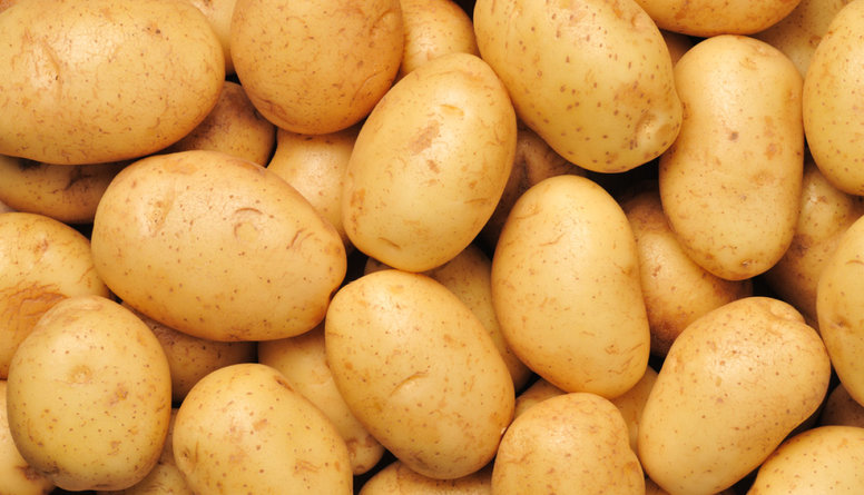 Nenovērtētais dārgums – kartupelis! Mīti un patiesība