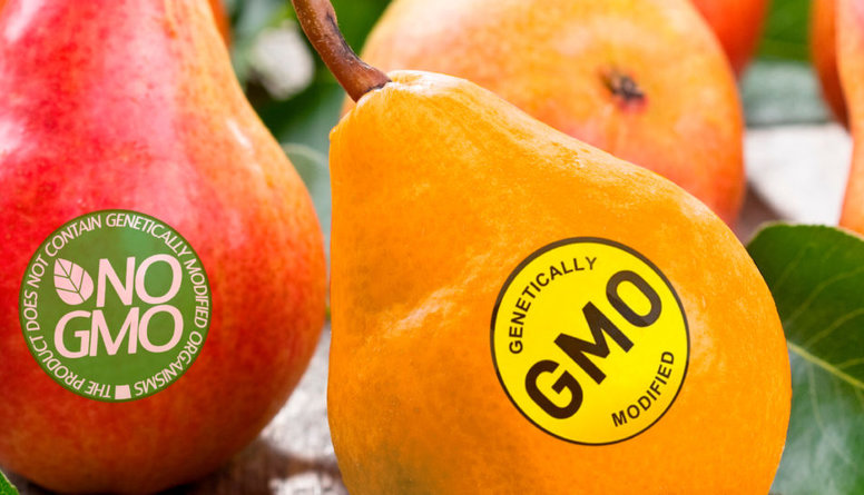 Kas ir ģenētiski modificēta pārtika?