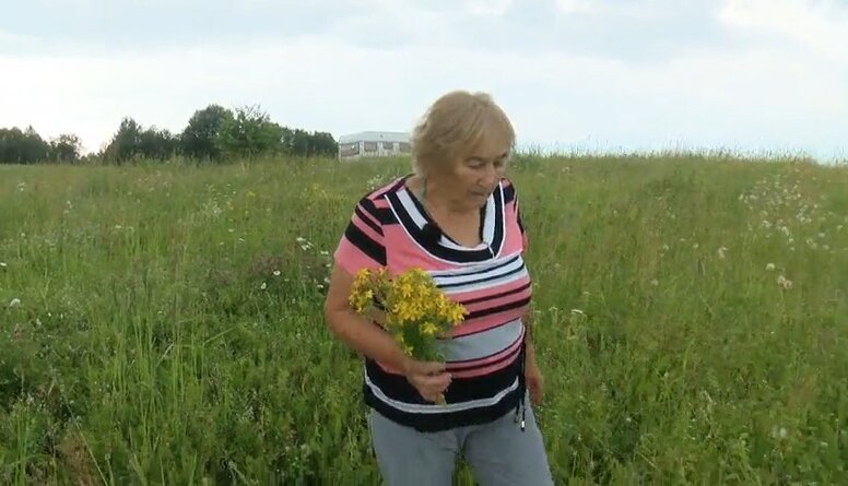 09.07.2022 Saudzēt, saglabāt, samīļot. Daba.