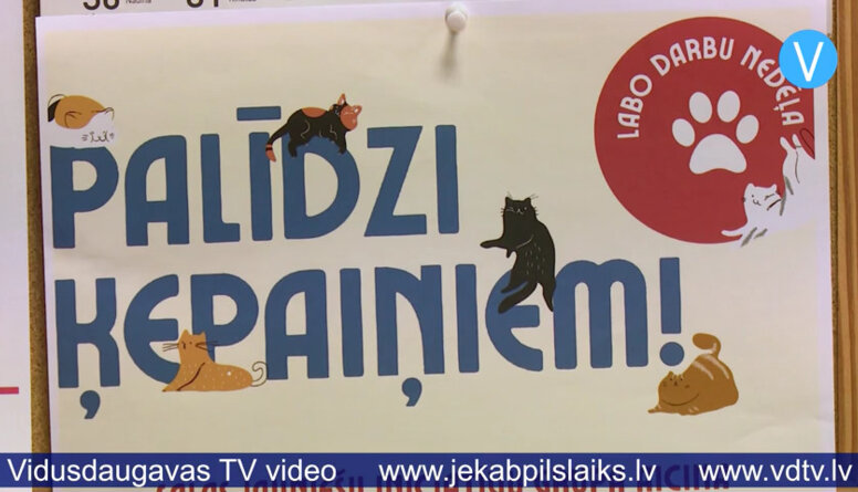 Salas jaunieši vāc ziedojumus Jēkabpils dzīvnieku patversmes iemītniekiem