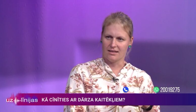 Kā cīnīties ar kailgliemežiem?