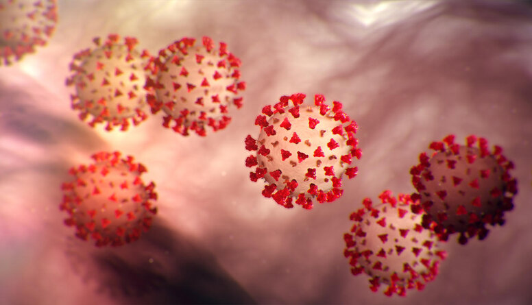 Rozentāle: Koronavīruss ir jau pazīstama vīrusa mutācija
