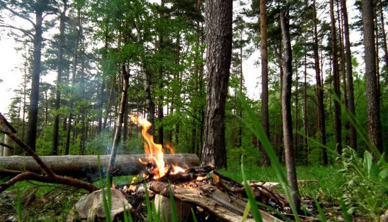 Latvijas mežos saglabājas augsta ugunsbīstamība