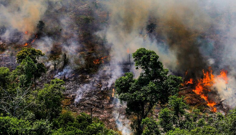 Jaunākās ziņas par ugunsgrēkiem Amazones lietusmežos
