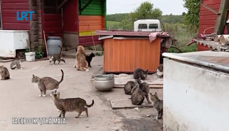 PVD saimniecībā Demenes pagastā izņem 65 mājdzīvniekus