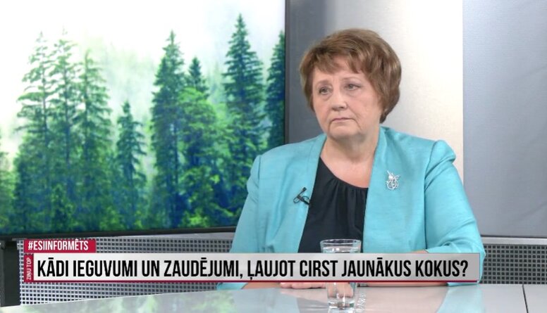 Kādi ieguvumi, ļaujot cirst jaunākus kokus?