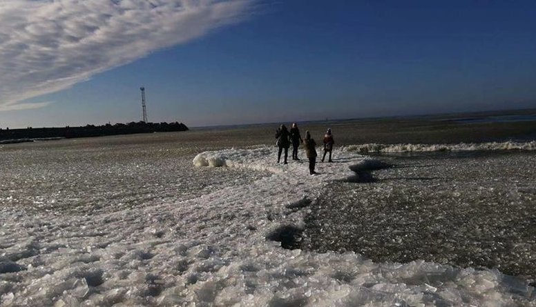 Ar "cilvēku ķēdi" Klaipēdā no ledu gabala izglābtas divas sievietes un bērni