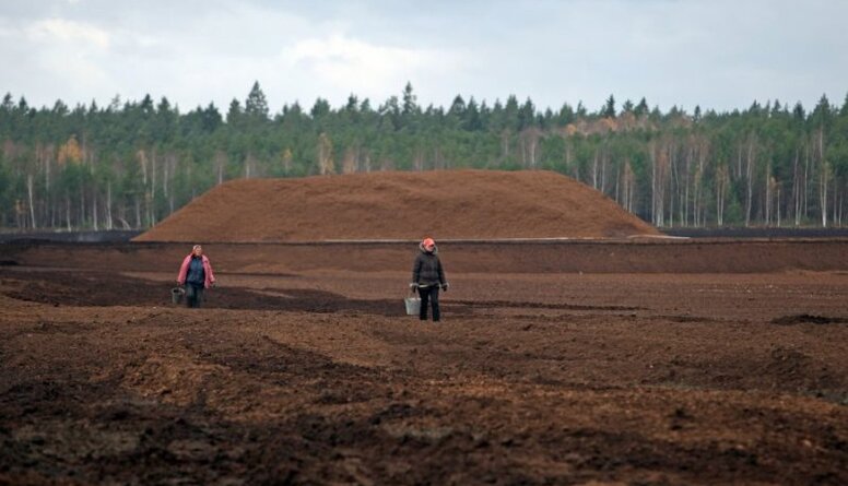 Kotovičs komentē Valsts kontroles ziņojumu par "Latvijas Valsts mežiem"
