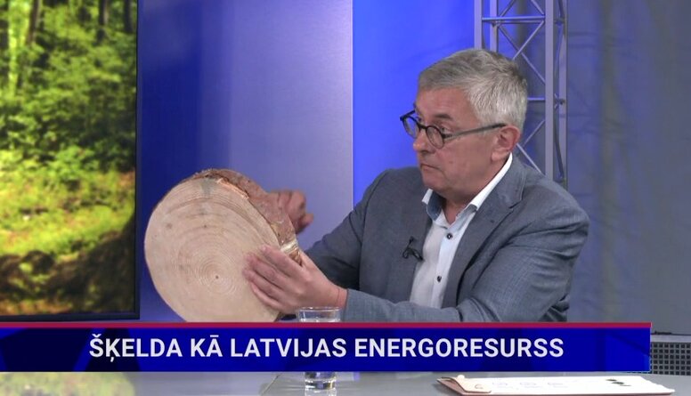 "Latvijas valsts meži” pārstāvis par šķeldu kā energoresursu