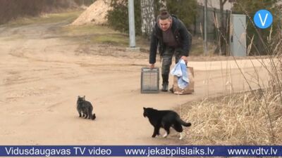 Sterilizācijas programma palīdz kontrolēt ielas kaķu vairošanos Līvānos