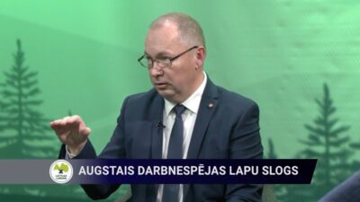 Biķis: Lielie darba devēji cieš pat vairāk no šīs sistēmas