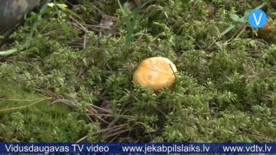 21.07.2026 Jēkabpils laiks
