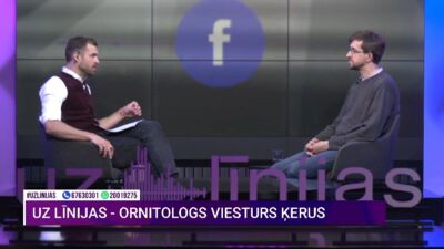 Atrasti no ligzdas izkrituši putnēni - ko iesākt?