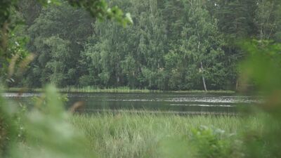 Kapu ezers - ar ko Latvijā īpaša šī ainaviskā vieta?