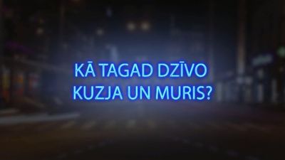 Tvitersāga: Kā tagad dzīvo Kuzja un Muris?