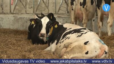 Saimniecībā “Kalna Dambrāni” atklāj Dzemdību nodaļu