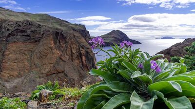 Madeiras sala piestāv ikvienam!