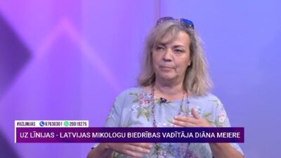 Vai sēnes var ieaudzēt savā piemājas birzītē?