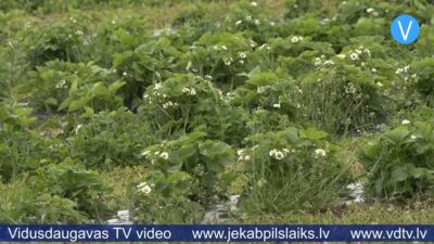 27.05.2025 Jēkabpils laiks