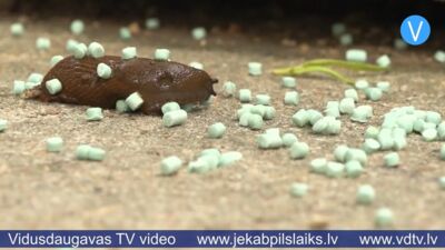 03.07.2026 Jēkabpils laiks