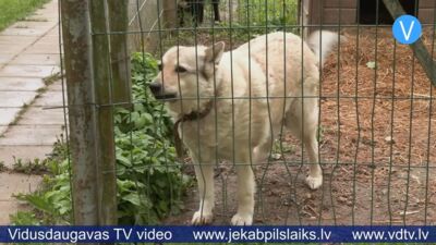 Risina jautājumu par mājdzīvnieku likteni pēc saimnieka nāves