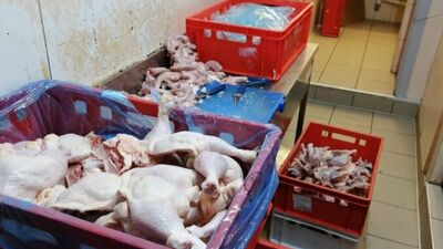 PVD konstatē nelegālu putnu gaļas sadales uzņēmumu