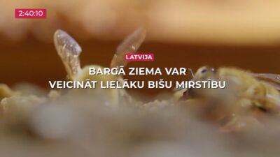 10.02.2026 TV24 SVARĪGAIS 3 MINŪTĒS 17.00