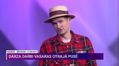 Kāpēc ir svarīgi apkopt kokus un cik bieži tas ir jādara?