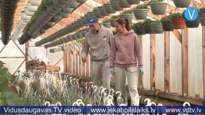 Saimnieki laukos – Kazakeviči no Seces gan audzē augus, gan stiprina novadu