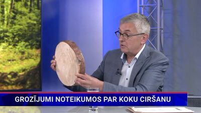 Tomass Kotovičs par grozījumiem noteikumos par koku ciršanu