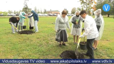 Jēkabpils novada Zīlānos top Laimes koku parks