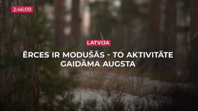 30.04.2026 TV24 SVARĪGAIS 3 MINŪTĒS 19.00