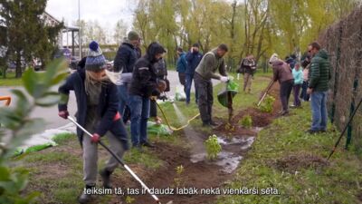 Kundziņsalas labiekārtošanai stādīs puskilometru garu zaļo dzīvžogu