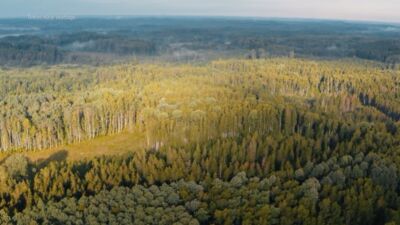 20.12.2025 Dzīvīte brīvdienās