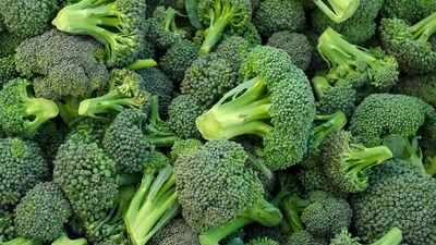 Brokoļi - dārzeņi, kas var pasargāt no saslimšanas ar vēzi?