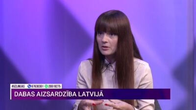 Kas ir zaļmaldināšana?